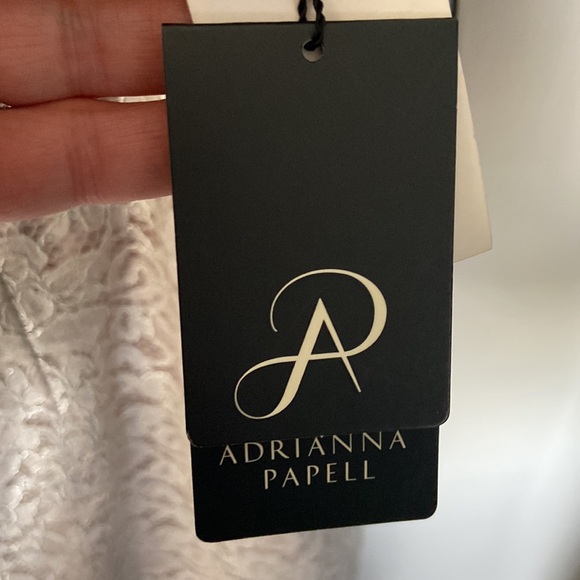 Adrienna Pappell Lace Dress Sz 18W NWT Color Icy Lilac gray very pretty holiday - Picture 6 of 17